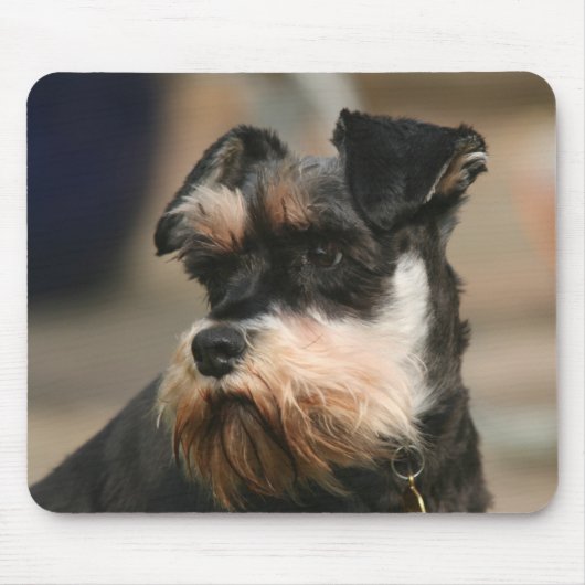 miniatuur schnauzer muismat (Voorkant)