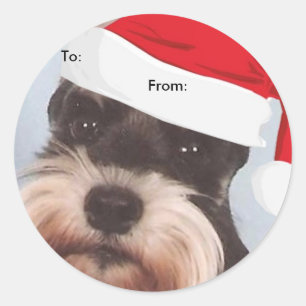 Miniatuur Schnauzer naar/van Kerst stickers