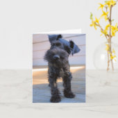 Miniatuur Schnauzer Note Card #1 - blanco Kaart (Gele Bloem)
