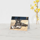 Miniatuur Schnauzer Note Card #6 - leeg Kaart (Gele Bloem)