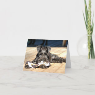 Miniatuur Schnauzer Note Card #6 - leeg Kaart