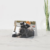 Miniatuur Schnauzer Note Kaart #4 - leeg (Voorkant)