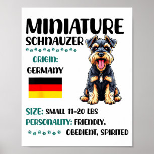 Miniatuur Schnauzer Oorsprong Grappige Mini Schnau Poster