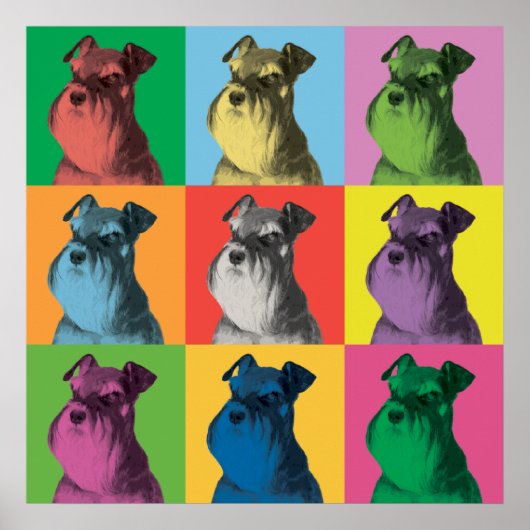 Miniatuur Schnauzer Pop-Art Poster (Voorkant)