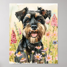 Miniatuur Schnauzer Poster – Funny Dog Art Print