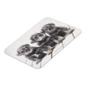 Miniatuur Schnauzer Puppies Magneet (Linkerzijde)