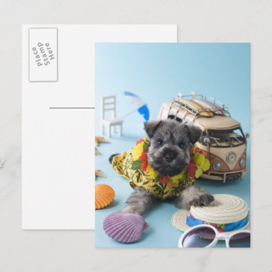 Miniatuur Schnauzer Puppy and Summer Vacation Briefkaart (Voorkant / Achterkant)