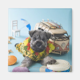 Miniatuur Schnauzer Puppy and Summer Vacation Magneet