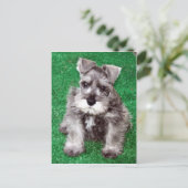 Miniatuur Schnauzer Puppy Briefkaart (Staand voorkant)