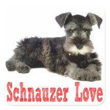 Miniatuur Schnauzer Puppy Dog Love Rode Sticker