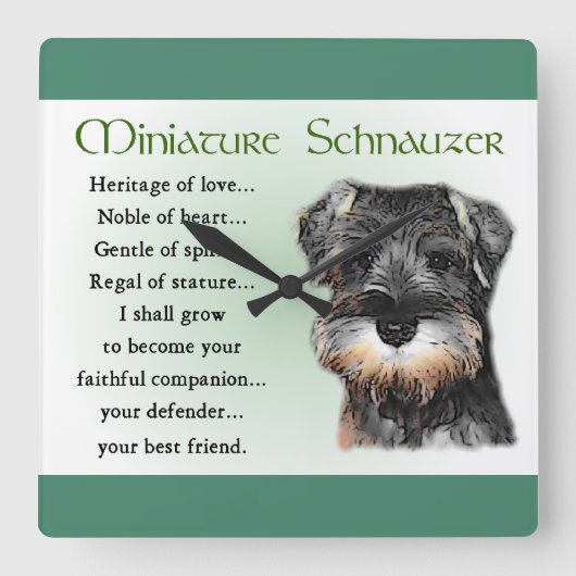Miniatuur Schnauzer Puppy Heritage Gifts Vierkante Klok (Voorkant)