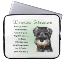 Miniatuur Schnauzer Puppy