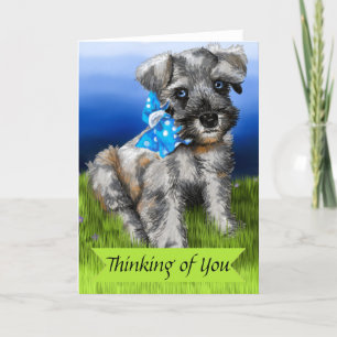 Miniatuur Schnauzer Puppy Thinking of You Kaart