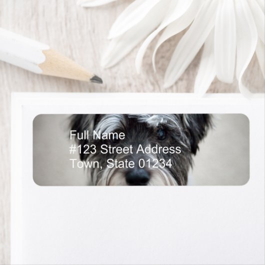 Miniatuur Schnauzer Return Label (Insitu)