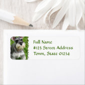 Miniatuur Schnauzer Return Label (Insitu)