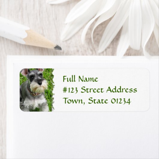 Miniatuur Schnauzer Return Label (Insitu)