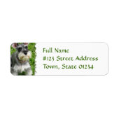 Miniatuur Schnauzer Return Label (Voorkant)