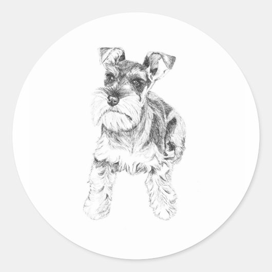 Miniatuur Schnauzer Sticker (Voorkant)
