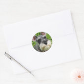 Miniatuur Schnauzer Sticker (Envelop)