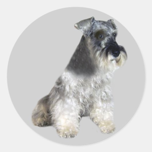 Miniatuur Schnauzer Sticker (Voorkant)