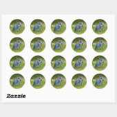 Miniatuur Schnauzer Sticker (Vel)
