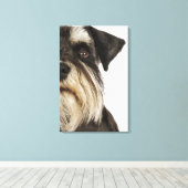 Miniatuur Schnauzer, studio shot, close-up Canvas Afdruk (Insitu (Houten vloer))