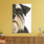 Miniatuur Schnauzer, studio shot, close-up Canvas Afdruk (Insitu (Woonkamer))