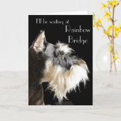 Miniatuur Schnauzer sympathie Kaart (Gele Bloem)