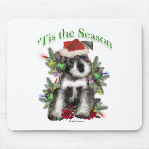 Miniatuur Schnauzer "Tis Muismat