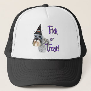 Miniatuur Schnauzer Trick Trucker Pet