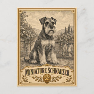 Miniatuur Schnauzer, Vintage Heritage Dog Briefkaart