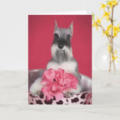 Miniatuur Schnauzer-Wenskaart Kaart (Gele Bloem)