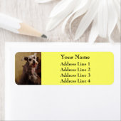 Miniatuur Schnauzer Yellow Return-adreslabels Etiket (Insitu)