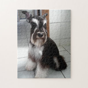 Miniatuur Schnauzer Zwart en Zilver Zitting Legpuzzel