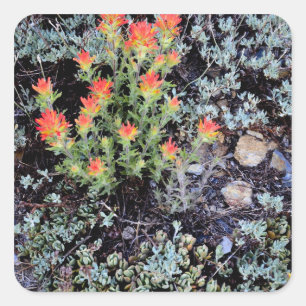 Miniatuur tuin bij Gem Lake Vierkante Sticker