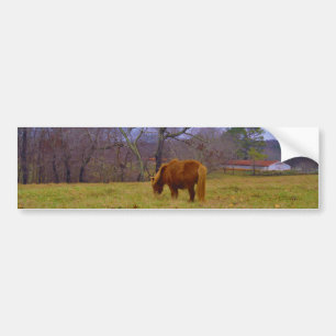 Miniatuurbruine paardenroesthemel bumpersticker