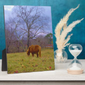 Miniatuurbruine paardenroesthemel fotoplaat (Zijkant)