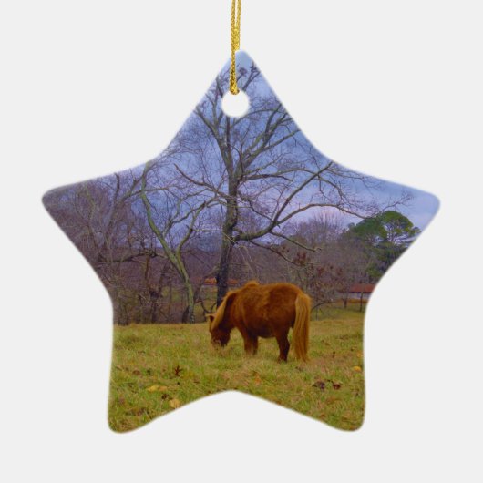 Miniatuurbruine paardenroesthemel keramisch ornament (Voorkant)