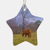 Miniatuurbruine paardenroesthemel keramisch ornament (Links)