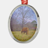 Miniatuurbruine paardenroesthemel metalen ornament (Links)