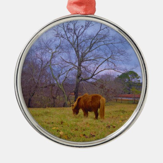 Miniatuurbruine paardenroesthemel metalen ornament (Voorkant)