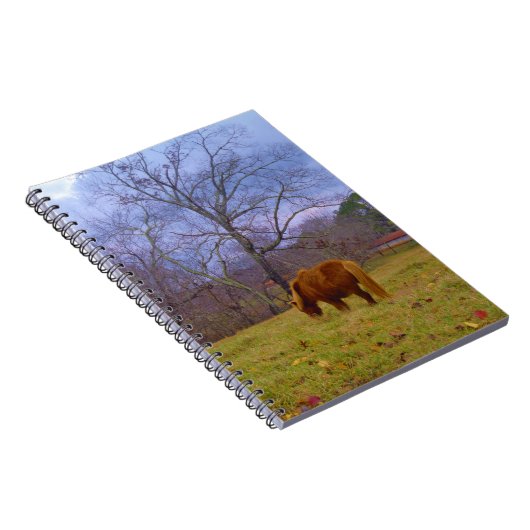 Miniatuurbruine paardenroesthemel notitieboek (Rechterzijde)