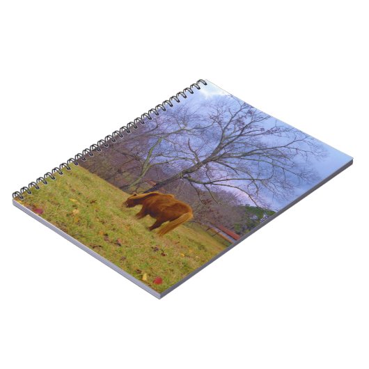 Miniatuurbruine paardenroesthemel notitieboek (Linkerzijde)