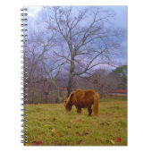 Miniatuurbruine paardenroesthemel notitieboek (Voorkant)