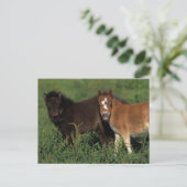 Miniatuurgewassen in gras briefkaart (Staand voorkant)