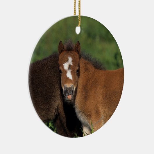 Miniatuurgewassen in gras keramisch ornament (Rechts)