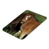 Miniatuurgewassen in gras magneet (Linkerzijde)