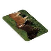 Miniatuurgewassen in gras magneet (Rechterzijde)