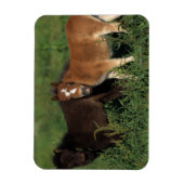 Miniatuurgewassen in gras magneet (Verticaal)