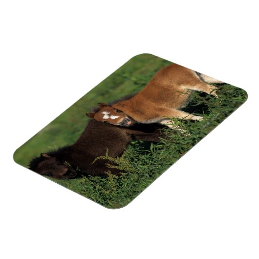 Miniatuurgewassen in gras magneet (Linkerzijde)